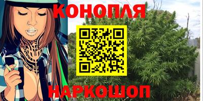 стафф Заволжье