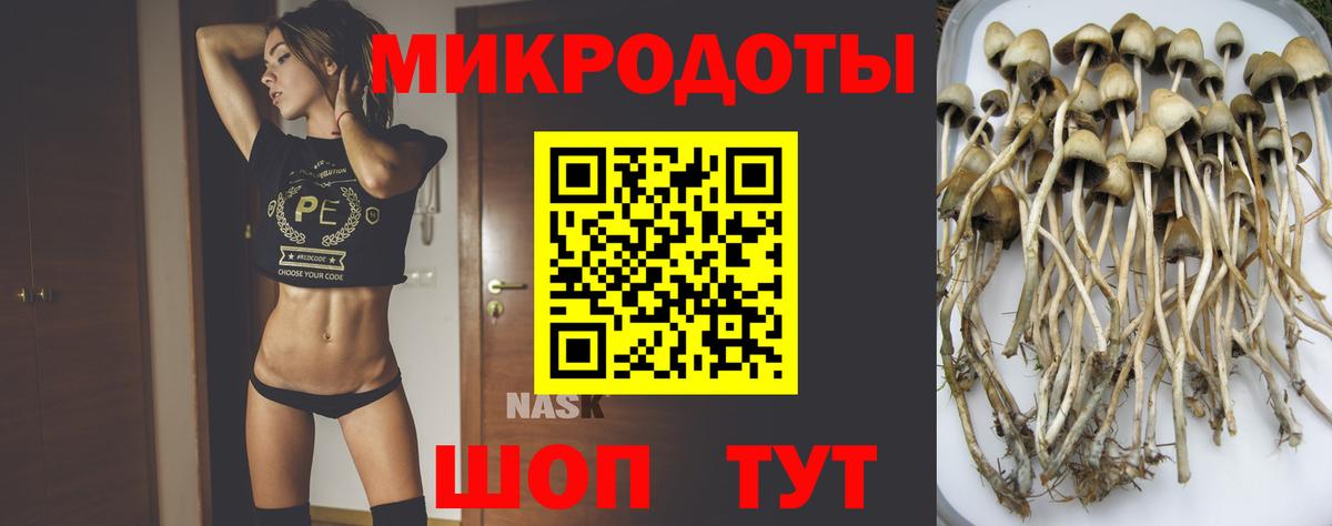 Галлюциногенные грибы прущие грибы  Вход с VPN  Псилоцибиновые грибы мухоморы  Магнитогорск 